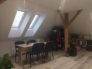 Pronájem bytu 1+kk, Plzeň, Pod Švabinami, 47 m2