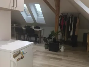 Pronájem bytu 1+kk, Plzeň, Pod Švabinami, 47 m2