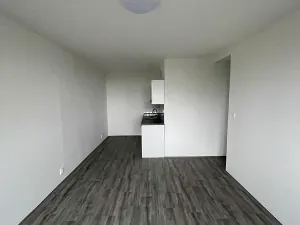 Pronájem bytu 2+kk, Litvínov, Kopistská, 40 m2