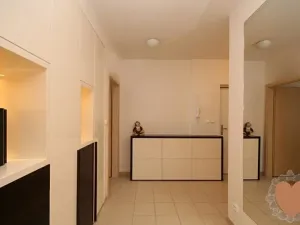 Prodej bytu 3+kk, Praha - Vysočany, Na Harfě, 90 m2