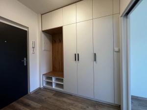 Pronájem bytu 1+kk, Karlovy Vary, Dubová, 29 m2