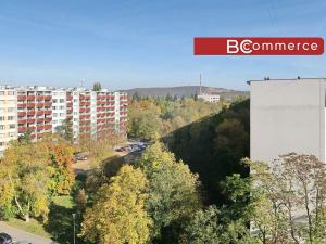 Pronájem bytu 1+kk, Brno, Halasovo náměstí, 24 m2