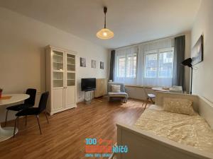 Pronájem bytu 1+kk, Praha - Nové Město, Klimentská, 36 m2