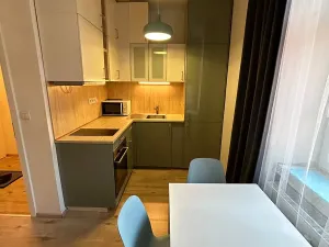 Pronájem bytu 1+kk, Praha - Krč, Budějovická, 30 m2