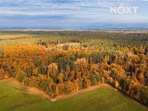 Prodej lesa, Ostřetín, 13718 m2