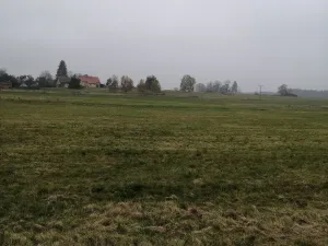 Prodej podílu 1/2 louky, Stanovice, 15437 m2