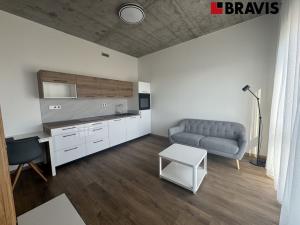 Pronájem bytu 1+kk, Brno - Horní Heršpice, Bohunická, 35 m2