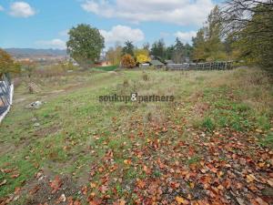 Prodej pozemku pro bydlení, Týnec nad Sázavou - Podělusy, 1001 m2