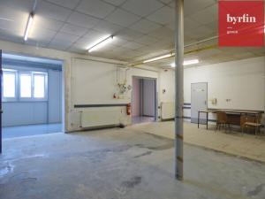 Pronájem skladu, Opava, Zámecký okruh, 200 m2