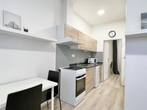 Pronájem bytu 2+kk, Brno, Václavská, 27 m2