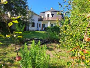 Prodej rodinného domu, Kostelec nad Orlicí, Komenského, 206 m2