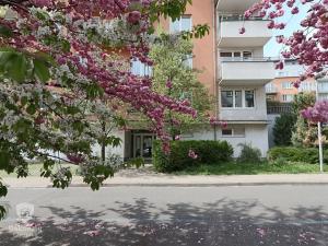 Pronájem bytu 2+kk, Praha - Strašnice, Janýrova, 57 m2