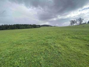 Prodej pozemku, Černá v Pošumaví, 6174 m2