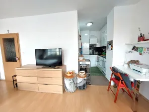 Pronájem bytu 1+kk, Brno, Dusíkova, 47 m2