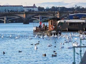 Prodej bytu 1+kk, Praha - Nusle, Bělehradská, 65 m2