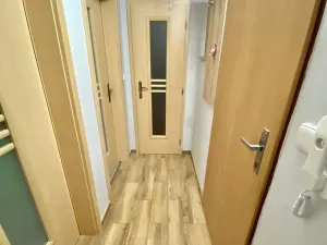 Prodej bytu 2+kk, Starý Plzenec, Herejkova, 41 m2