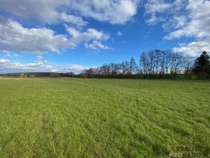 Prodej zahrady, Koválovice-Osíčany - Osíčany, 1236 m2