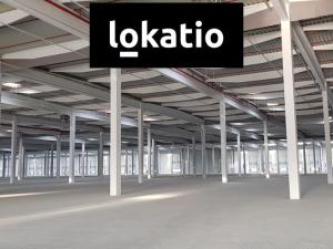 Pronájem skladu, Ostrov, 38800 m2