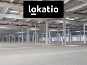 Pronájem skladu, Ostrov, 38800 m2