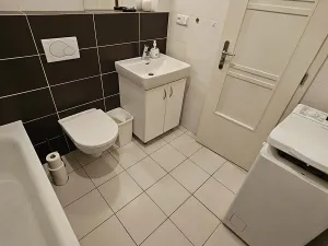 Pronájem bytu 1+kk, Praha - Vinohrady, Šafaříkova, 39 m2