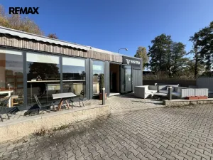 Pronájem komerční nemovitosti, Ostrov, 38 m2