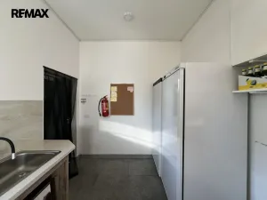 Pronájem komerční nemovitosti, Ostrov, 38 m2