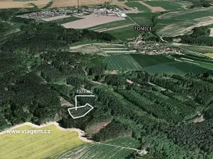 Prodej podílu lesa, Dolní Kralovice, 2050 m2