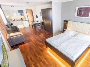 Pronájem bytu 1+kk, Praha - Nové Město, 52 m2