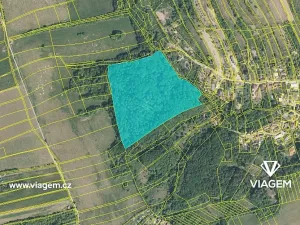 Prodej podílu pozemku pro bydlení, Košíky, 8982 m2