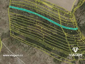 Prodej lesa, Červený Hrádek, 6531 m2