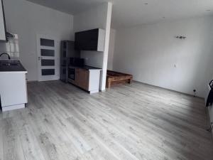 Pronájem bytu 1+kk, Chomutov, Klostermannova, 41 m2