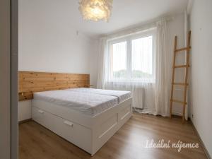 Pronájem bytu 2+kk, Praha - Krč, Štúrova, 39 m2