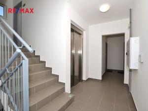 Pronájem bytu 1+kk, Praha - Černý Most, Bryksova, 37 m2