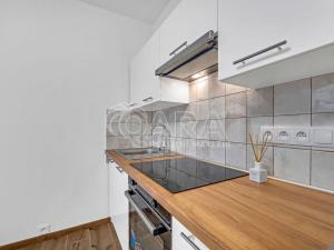 Prodej bytu 1+kk, Písek, 17. listopadu, 20 m2