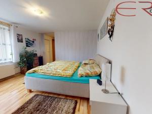 Prodej rodinného domu, Černá u Bohdanče, 170 m2