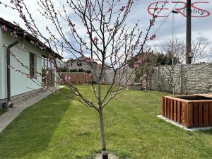 Prodej rodinného domu, Černá u Bohdanče, 170 m2