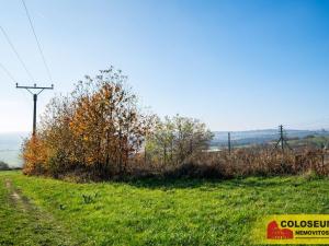 Prodej pozemku, Šošůvka, 1036 m2