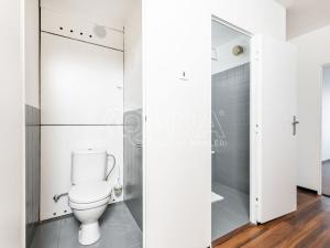 Pronájem bytu 2+kk, Praha - Řepy, Na chobotě, 44 m2