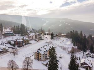 Prodej bytu 1+kk, Špindlerův Mlýn, 35 m2