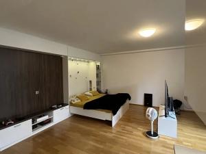 Pronájem bytu 1+kk, Zlín, Podlesí I, 50 m2