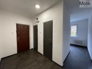 Pronájem bytu 2+1, Litvínov - Horní Litvínov, Podkrušnohorská, 55 m2