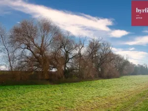 Prodej pole, Bukovany, 604 m2