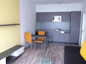 Pronájem bytu 2+kk, Brno - Slatina, Kigginsova, 42 m2