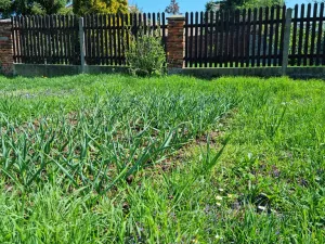 Prodej rodinného domu, Zlonice, Riegrova, 187 m2