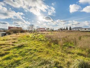 Prodej pozemku pro bydlení, Družec, V Průhonu, 835 m2