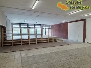 Pronájem obchodního prostoru, Petřvald, 180 m2