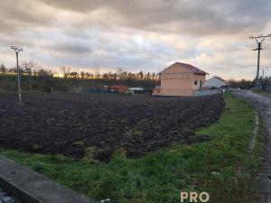 Prodej pozemku pro bydlení, Prace, 791 m2