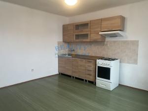 Pronájem bytu 1+1, Roudnice nad Labem, Sokolská, 55 m2