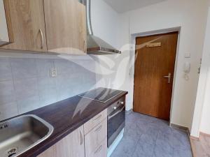 Pronájem bytu 1+kk, Zbůch, Průkopnická, 24 m2