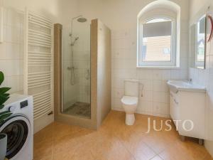 Prodej rodinného domu, Písek - Budějovické Předměstí, Kocínova, 300 m2